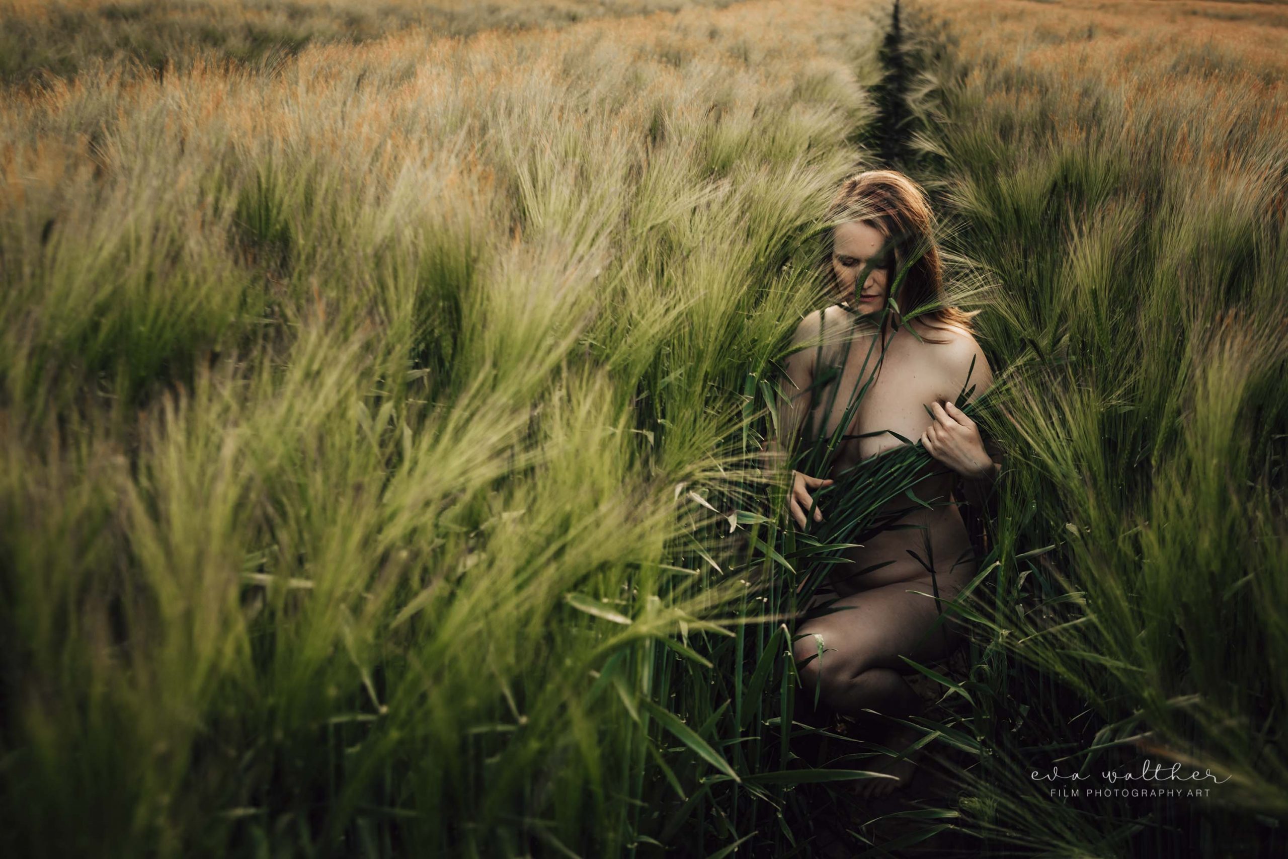 backlit nude self portraits woman in tall green wheat