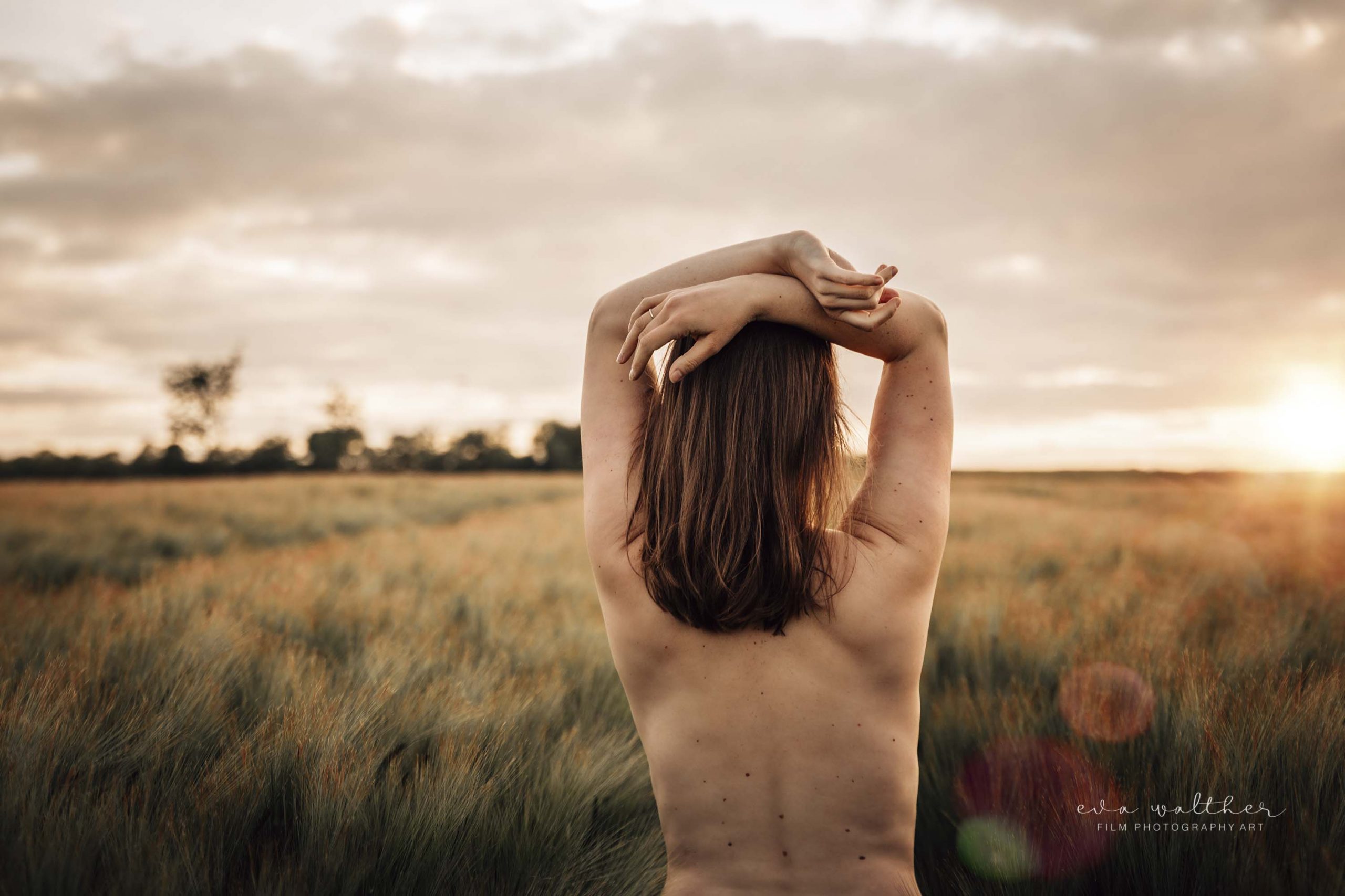 backlit nude self portraits woman in tall green wheat